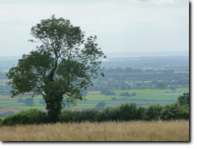 Badminton House